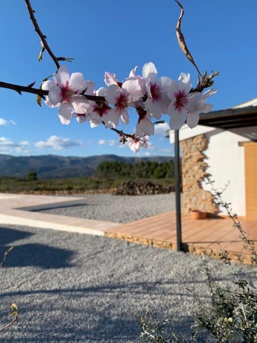 La Llobatera Casa Rural Les Coves de Vinroma 外观 照片